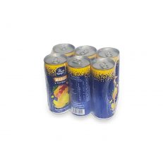 Néctar -jugo- sabor mango Nova (6 x 250 ml)